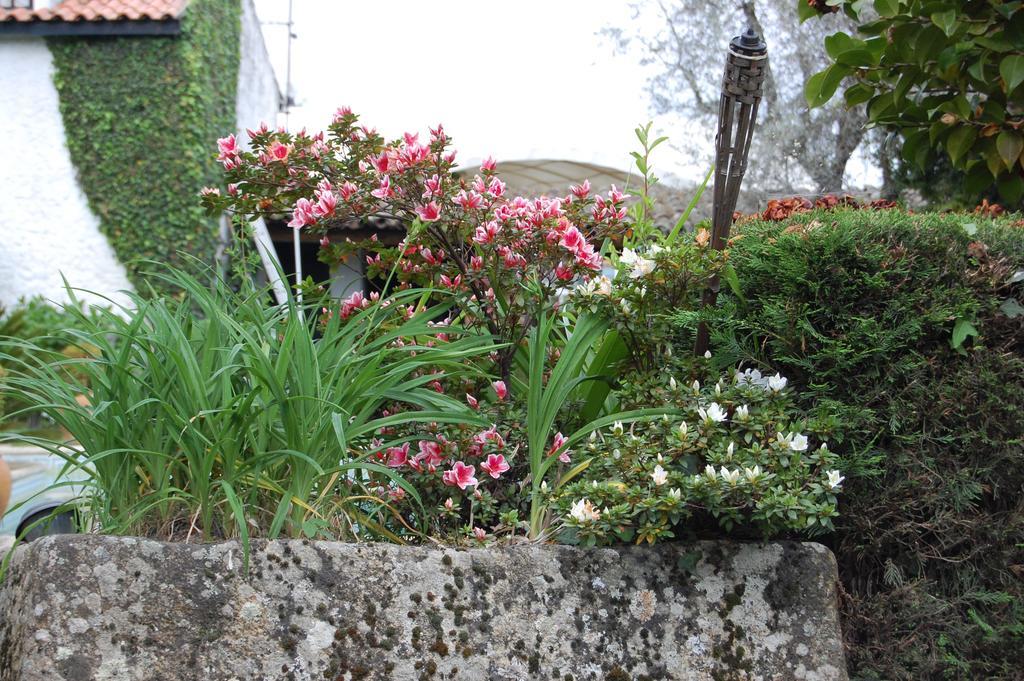 Pensjonat Casa Da Quinta De S. Martinho